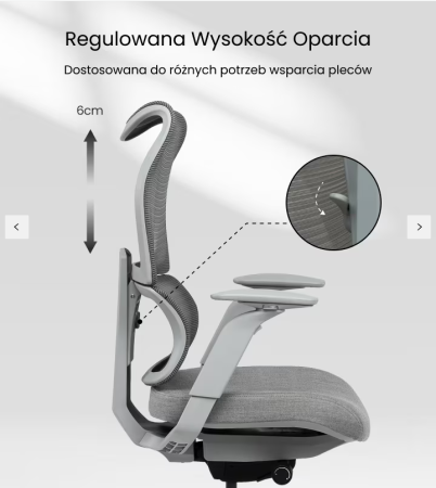 Screenshot 2025-10-19 at 14-26-41 Krzesło Biurkowe Ergonomiczne BS8-PRO FlexiSpot PL.png