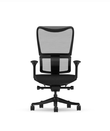 Screenshot 2025-10-19 at 14-25-33 Krzesło Biurkowe Ergonomiczne BS8-PRO FlexiSpot PL.png