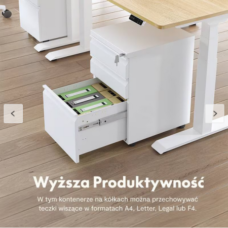 Screenshot 2025-10-16 at 11-56-30 Szafka na Dokumenty RC3 FlexiSpot PL.png