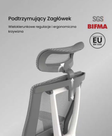 Screenshot 2025-10-21 at 10-54-08 Ergonomiczne Krzesło z Wieloma Regulacjami (C7) powystawowe Aleksandrów Kujawski • OLX.pl.png